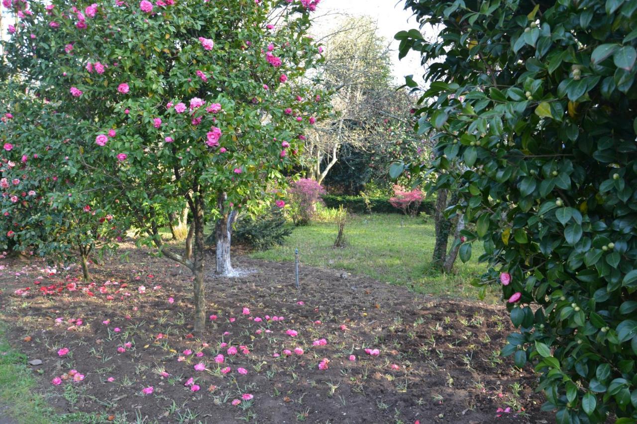 Quinta D'Avo Amelia Bed and Breakfast Alquerubim Εξωτερικό φωτογραφία