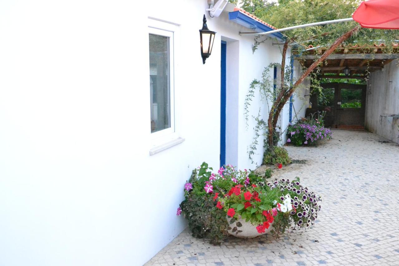 Quinta D'Avo Amelia Bed and Breakfast Alquerubim Εξωτερικό φωτογραφία