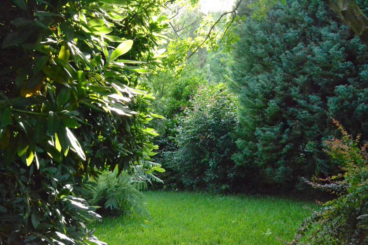 Quinta D'Avo Amelia Bed and Breakfast Alquerubim Εξωτερικό φωτογραφία
