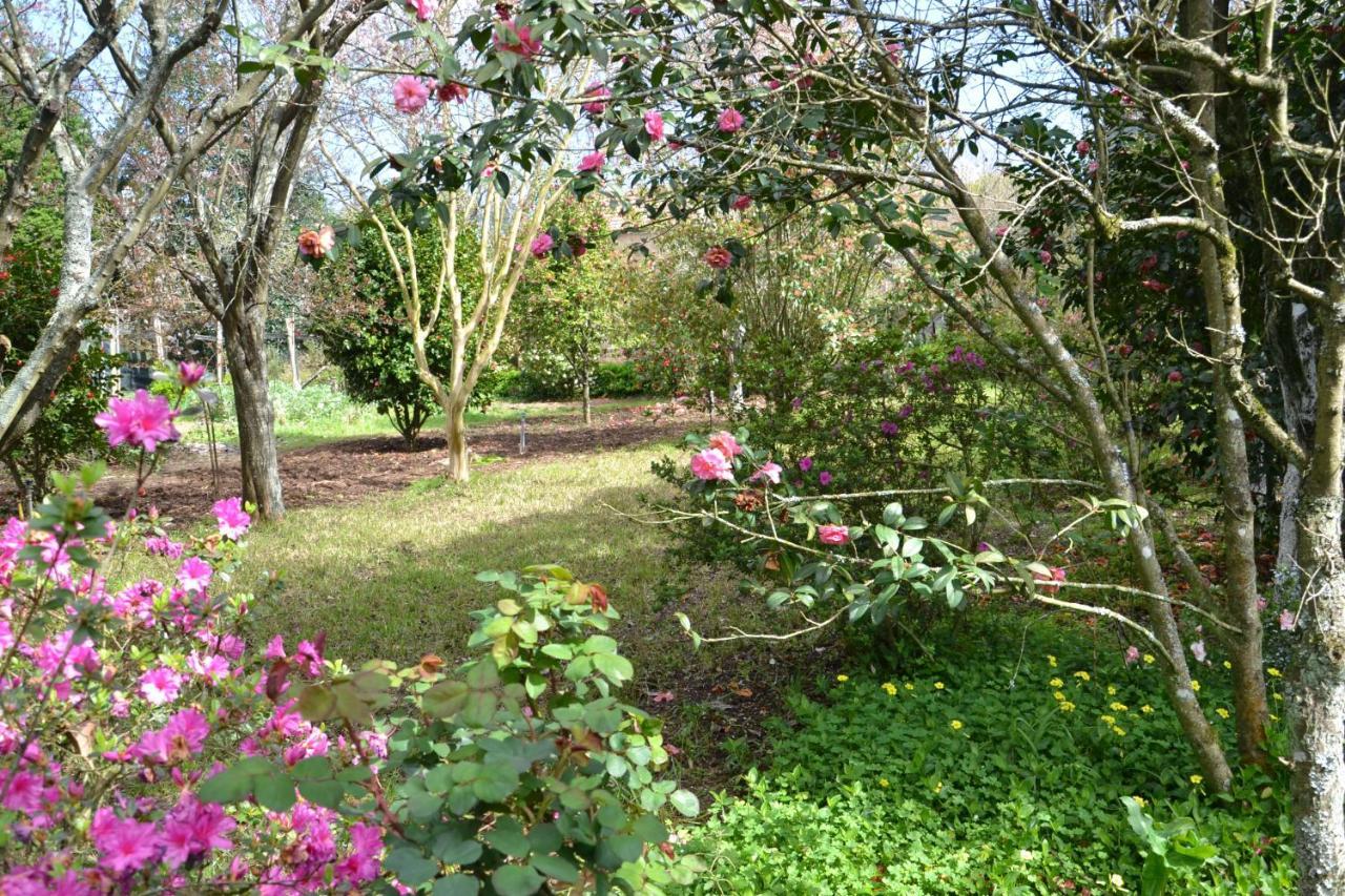 Quinta D'Avo Amelia Bed and Breakfast Alquerubim Εξωτερικό φωτογραφία