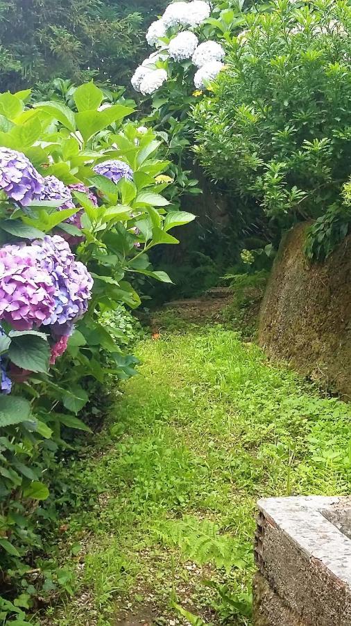 Quinta D'Avo Amelia Bed and Breakfast Alquerubim Εξωτερικό φωτογραφία