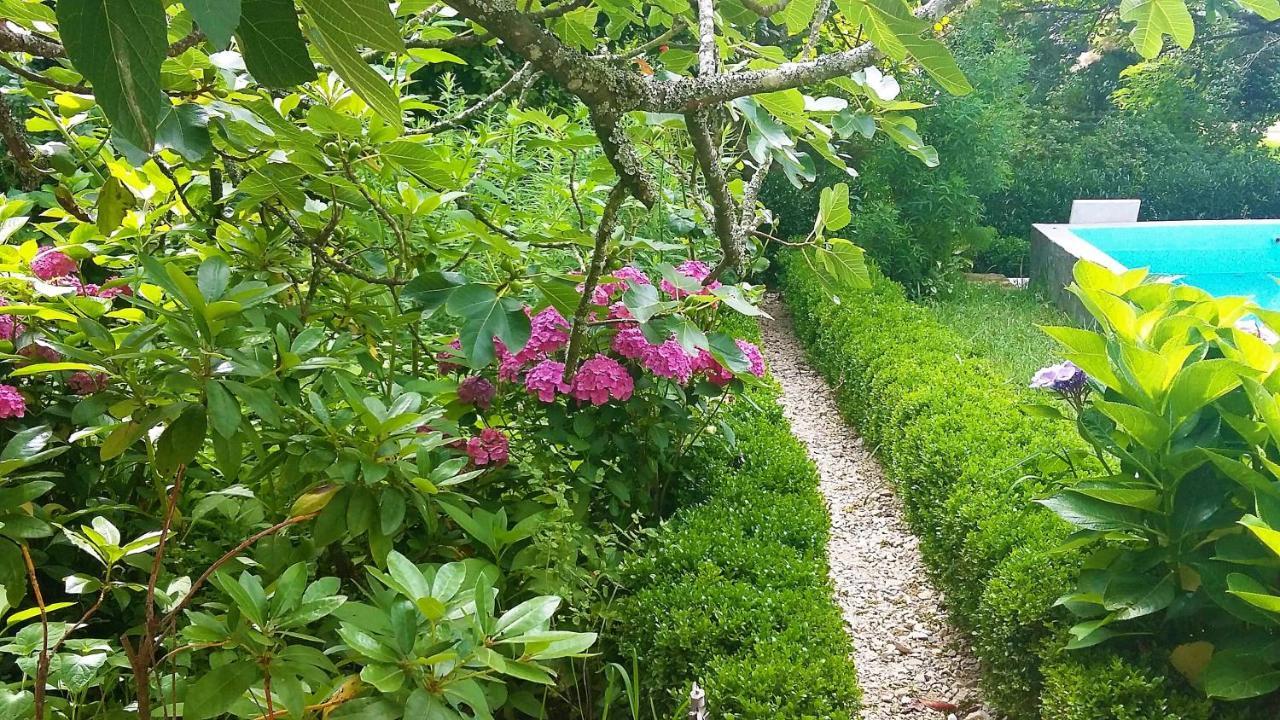 Quinta D'Avo Amelia Bed and Breakfast Alquerubim Εξωτερικό φωτογραφία