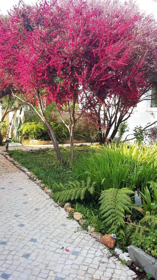 Quinta D'Avo Amelia Bed and Breakfast Alquerubim Εξωτερικό φωτογραφία