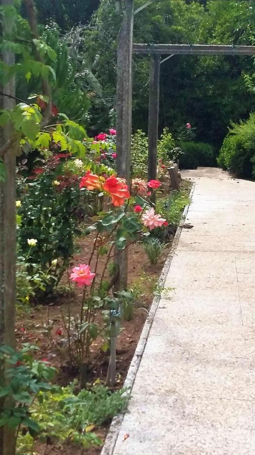 Quinta D'Avo Amelia Bed and Breakfast Alquerubim Εξωτερικό φωτογραφία