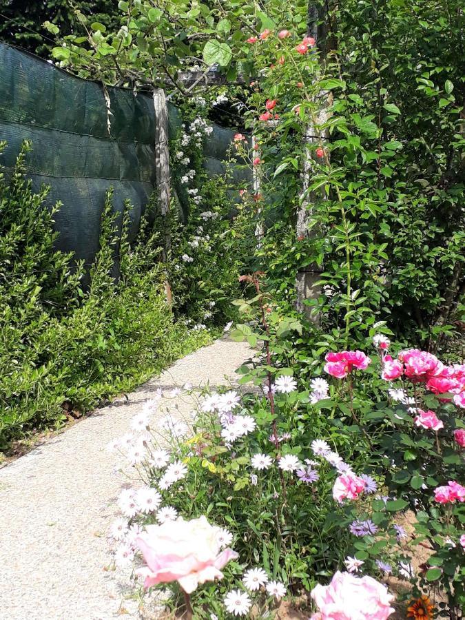 Quinta D'Avo Amelia Bed and Breakfast Alquerubim Εξωτερικό φωτογραφία