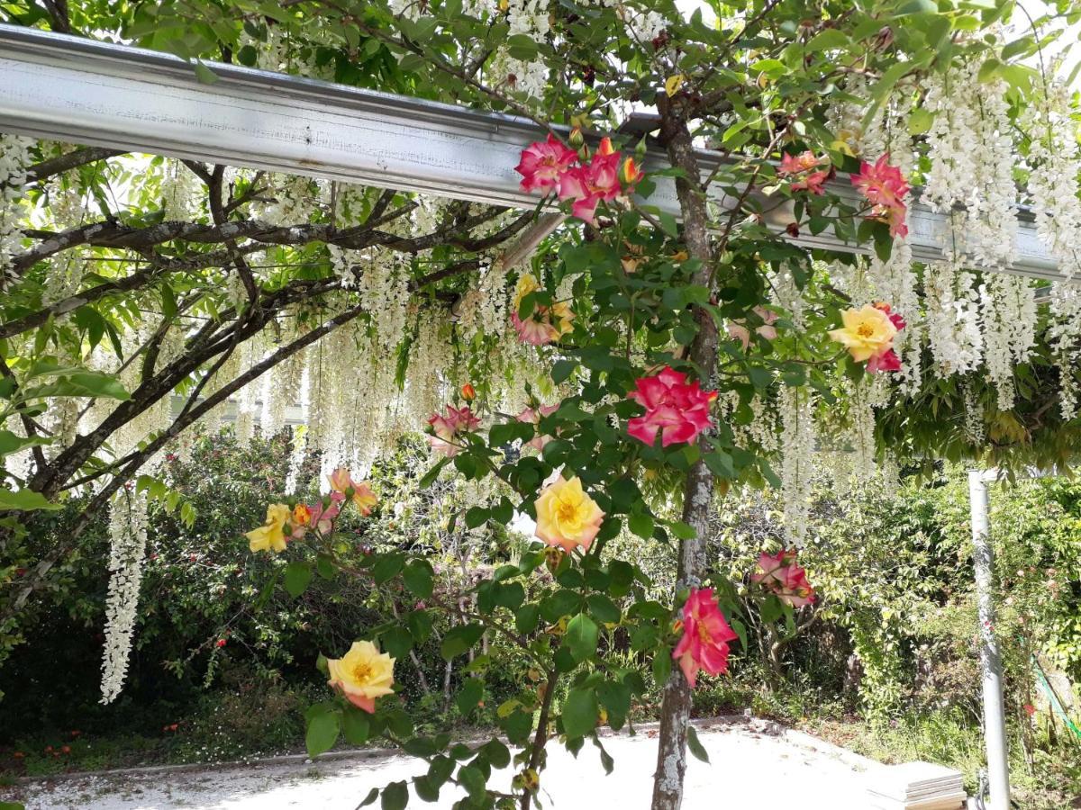 Quinta D'Avo Amelia Bed and Breakfast Alquerubim Εξωτερικό φωτογραφία