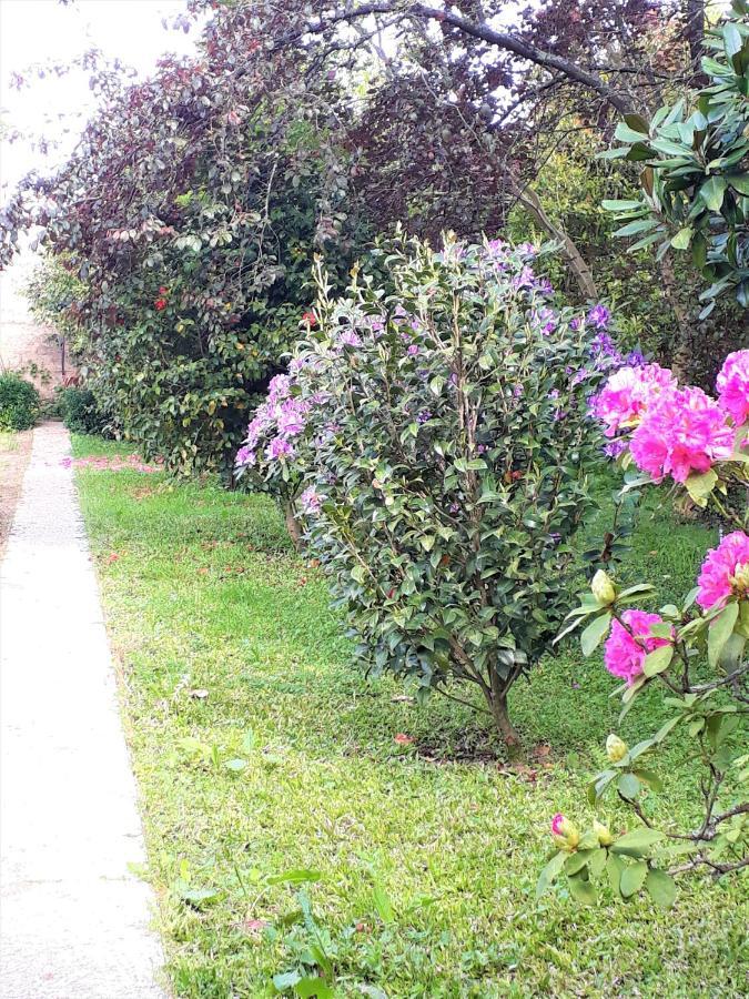 Quinta D'Avo Amelia Bed and Breakfast Alquerubim Εξωτερικό φωτογραφία