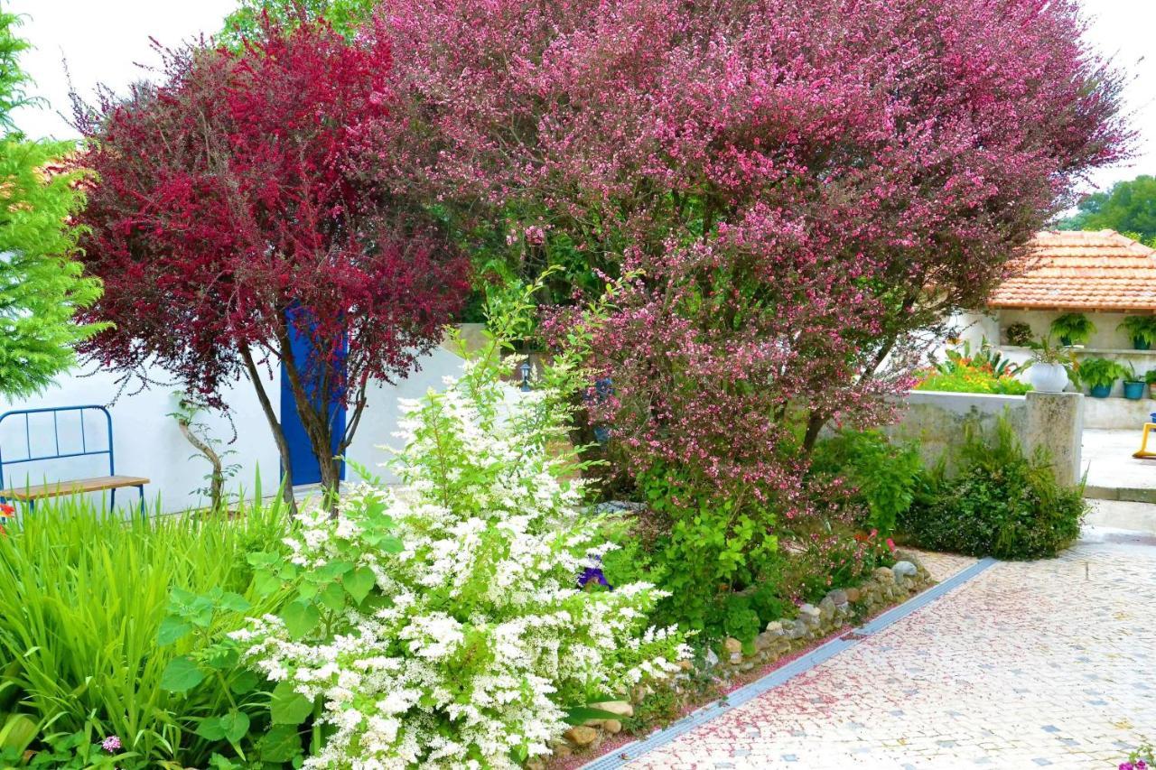 Quinta D'Avo Amelia Bed and Breakfast Alquerubim Εξωτερικό φωτογραφία