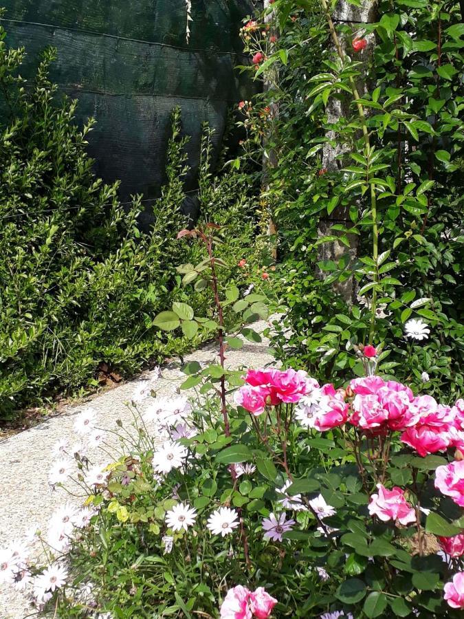 Quinta D'Avo Amelia Bed and Breakfast Alquerubim Εξωτερικό φωτογραφία