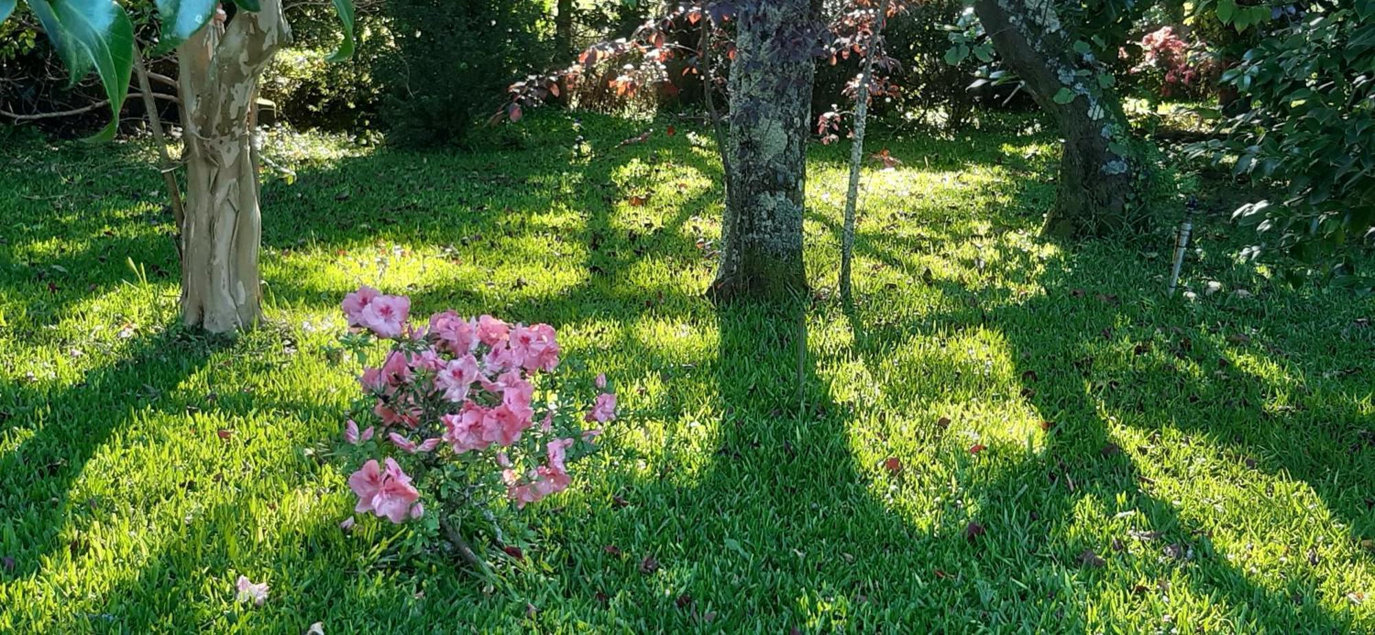 Quinta D'Avo Amelia Bed and Breakfast Alquerubim Εξωτερικό φωτογραφία